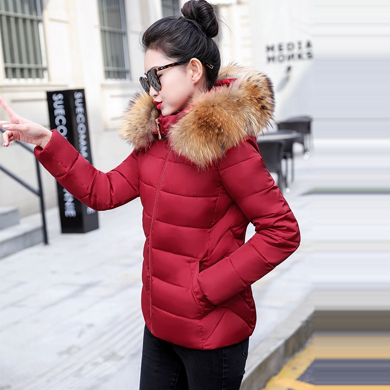 Женская осенняя куртка-парка с – обзор и цена Winter Clothing Trends 2026